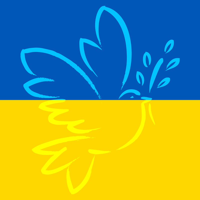 Zu sehen ist die Flagge der Ukraine. Darauf ist zudem eine Friedenstaube zu sehen.